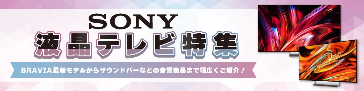 SONY �t���e���r���W