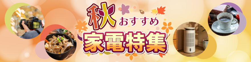 �H�������߉Ɠd���W