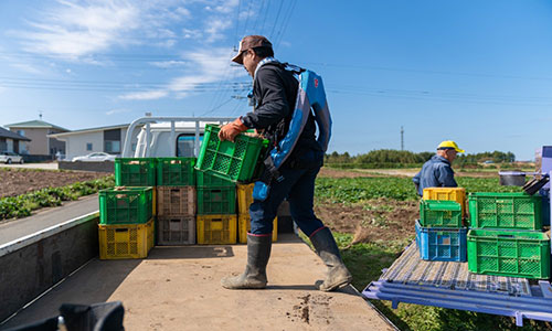 farmer01.jpg