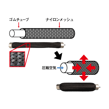 overview_future01.jpg