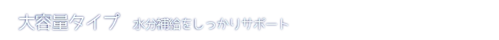 ��e�ʃ^�C�v