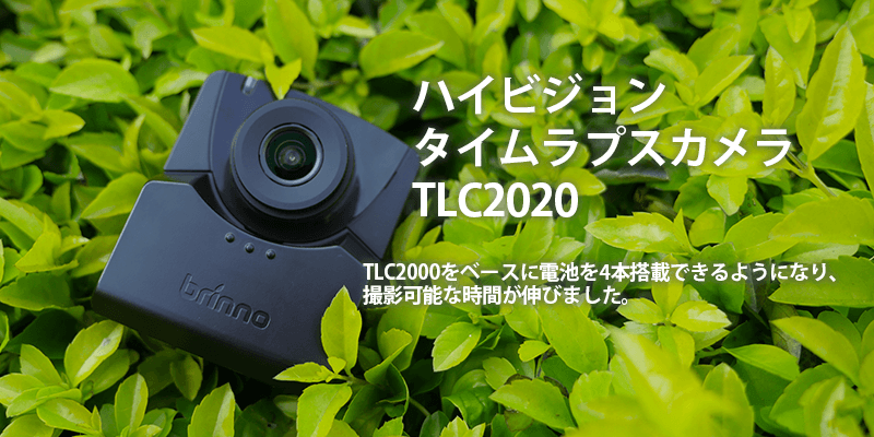 ^CvXJ TLC2020 ubN